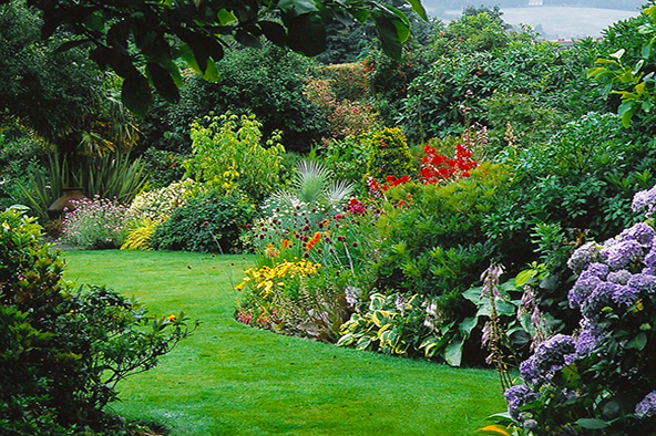 fleuristes à Londres : Jardin à l'Anglaise