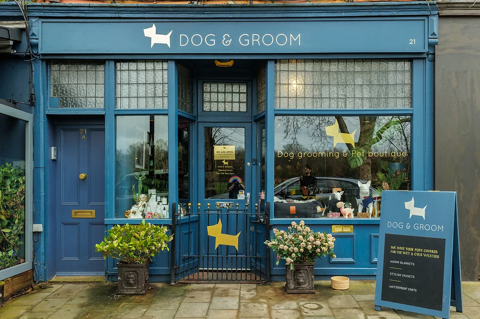 Dog & Groom